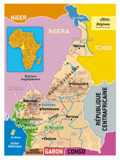 Listing image for Cameroon Africa Colorful French Political Physical Map Inset Poster Art Print