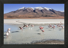 Listing image for Bolivia Lagoons Landscape Framed Wall Art Poster Canvas Print Picture