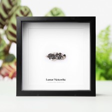 Listing image for Framed Real Lunar Meteorite Slice – Polished Moon Rock Display Gift