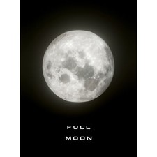 Listing image for Phases of the Moon Astronomy Full Moon Lunar Space Poster Huge Wall Art 18X24 In