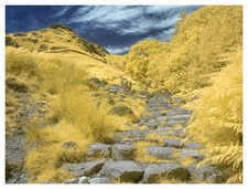Listing image for Converted Infrared IR Full Spectrum Panasonic G3 Camera 14-42mm Lens 128