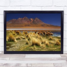Listing image for Bolivia November Alpacas Mountain Landscape Nature Lagoon Wall Art Print