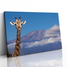 Listing image for Giraffe near Mount Kilimanjaro Canvas Framed Print Picture Wall Art